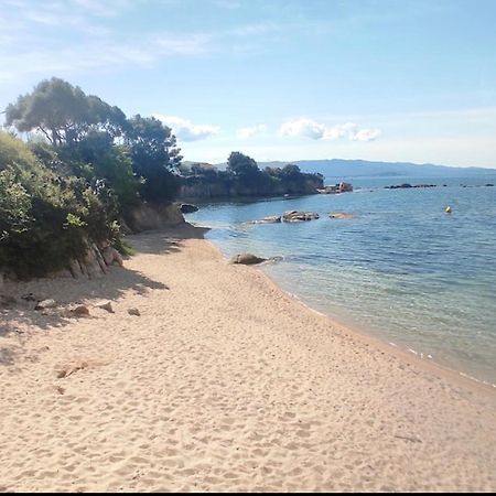 아작시오 Magnifique T2 Ajaccio 아파트 외부 사진